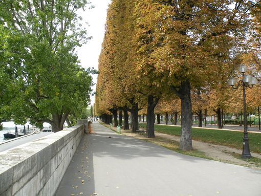  Cours Albert 1er